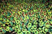 Guinness World Records - Format