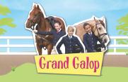 The Saddle Club (Licensing)